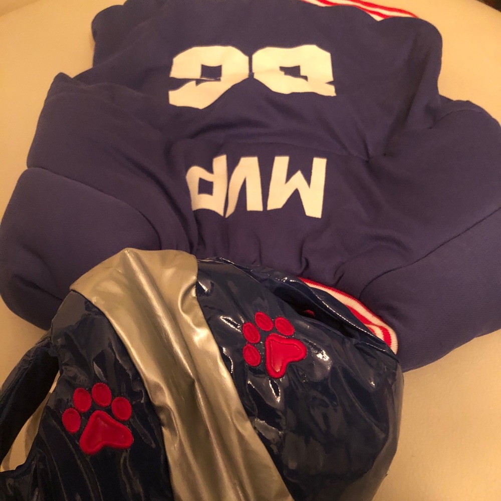 Dog halloween costume